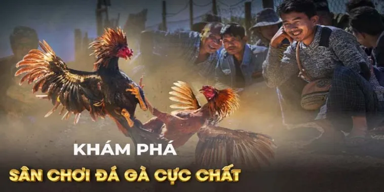 Tuyệt Chiêu Tham Gia Đá Gà GA28 Tại Bongx9 Bách Chiến Bách Thắng Mọi Kèo 1 Tuyệt Chiêu Tham Gia Đá Gà GA28 Tại Bongx9 Bách Chiến Bách Thắng Mọi Kèo